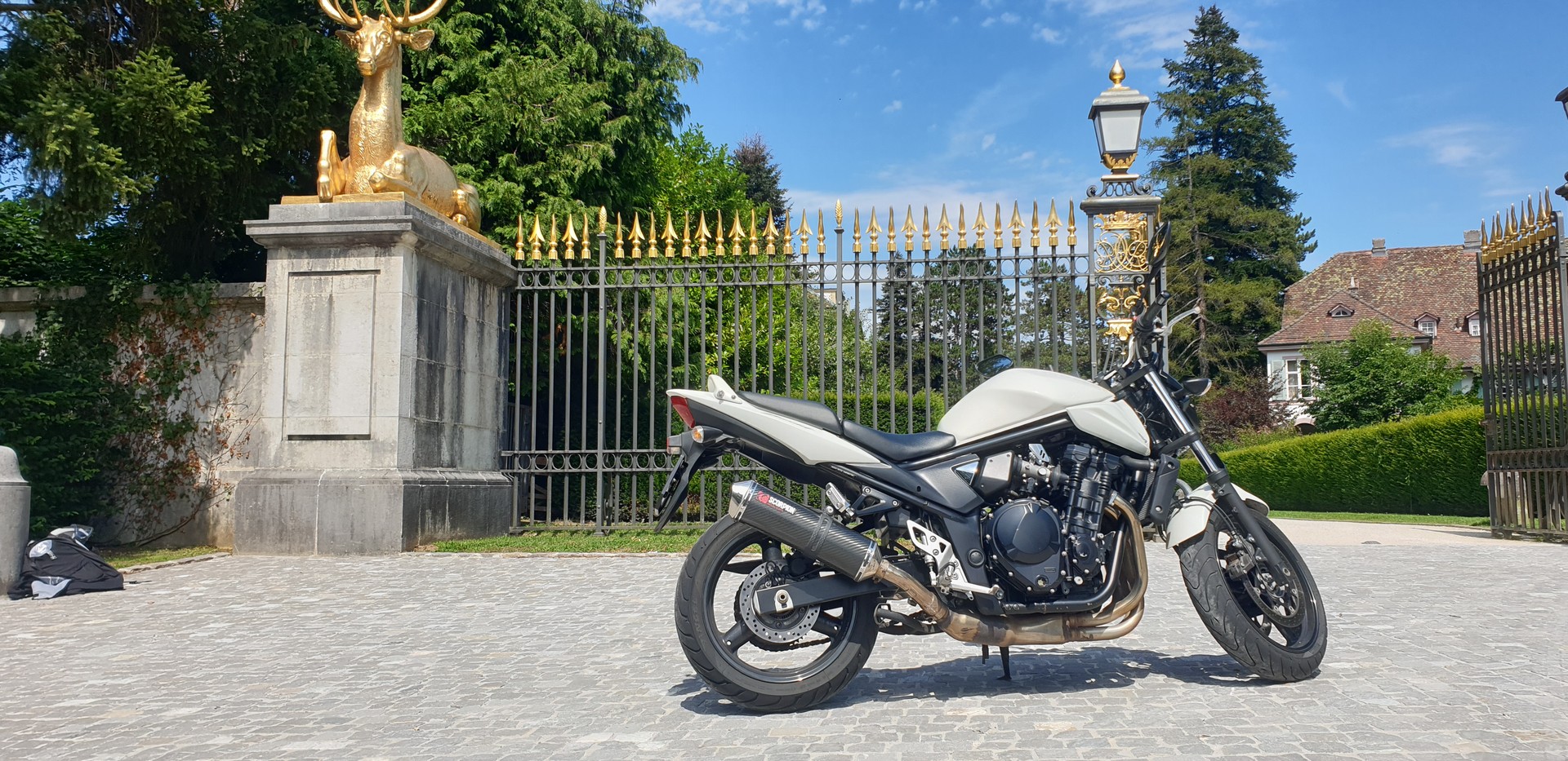 SUZUKI GSF 650 Bandit ABS L0 (25kW)-image-6