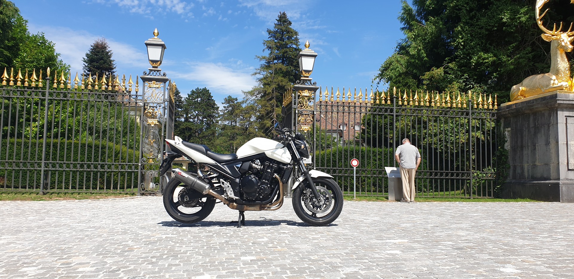 SUZUKI GSF 650 Bandit ABS L0 (25kW)-image-9