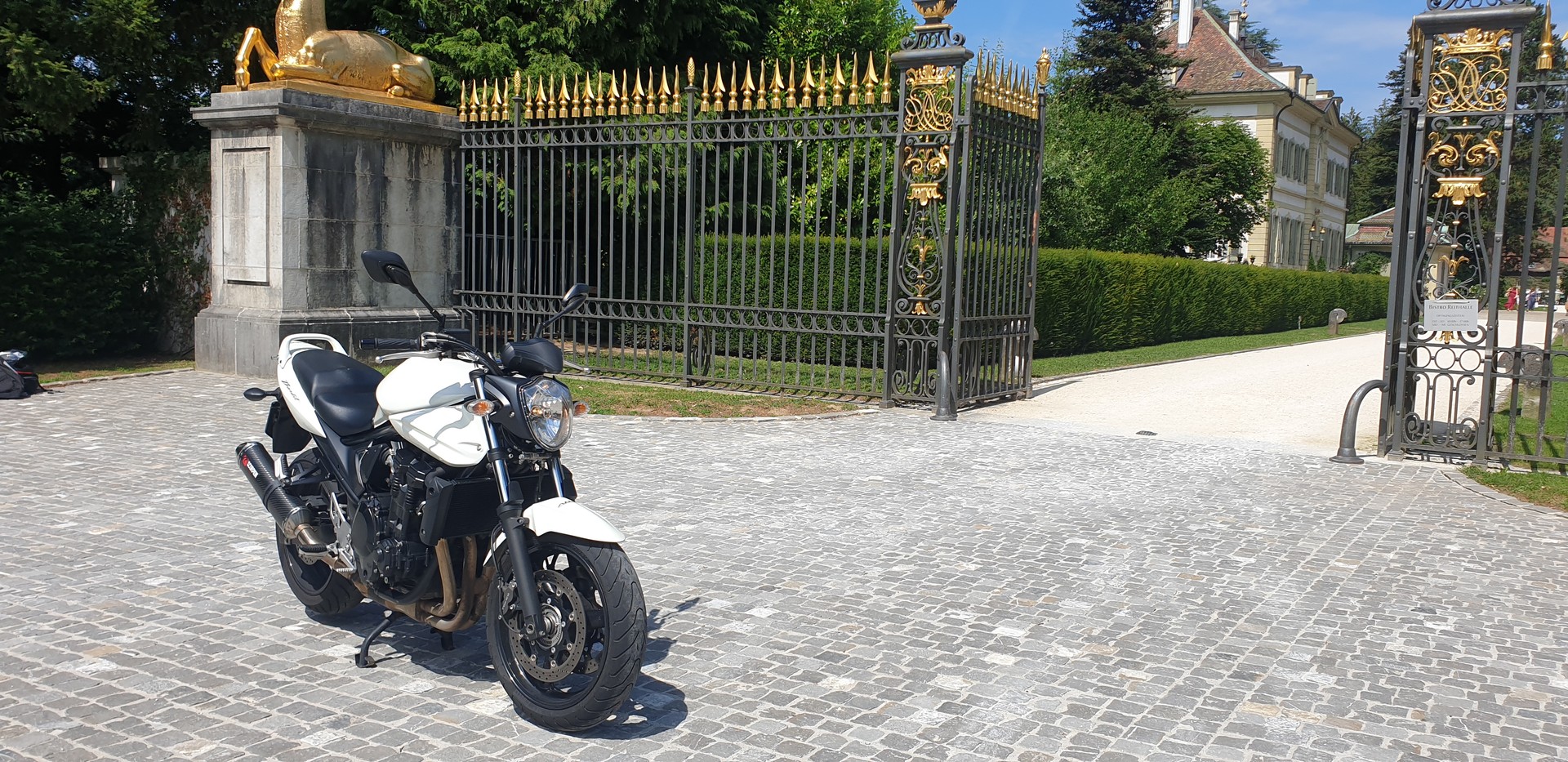 SUZUKI GSF 650 Bandit ABS L0 (25kW)-image-7