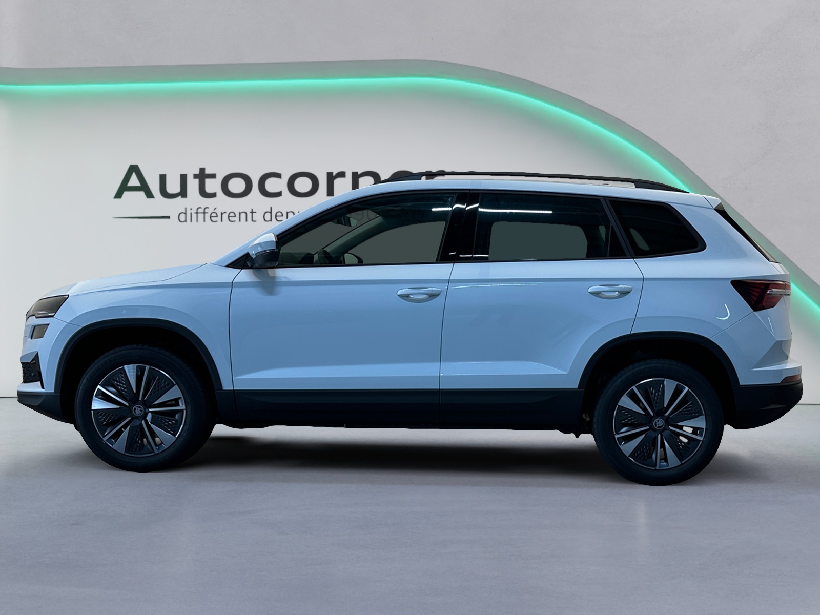 SKODA Karoq 2.0 TDI CR Dynamic 4x4 DSG-image-1