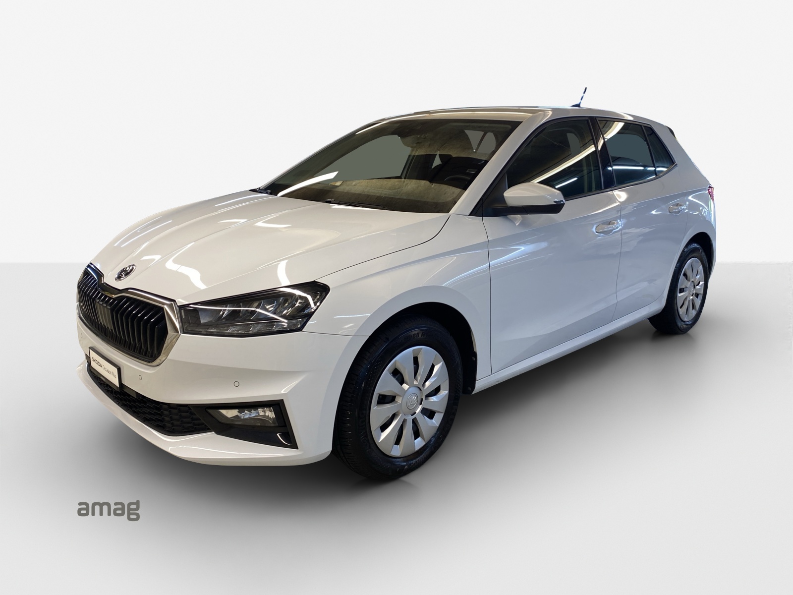 SKODA Fabia 1.0 TSI Ambition-image-0
