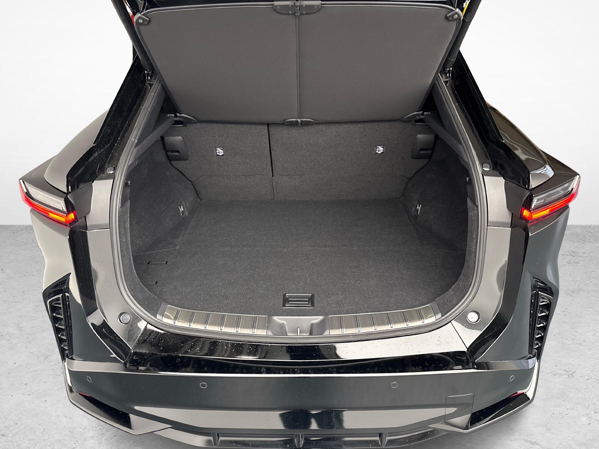 LEXUS RZ 550e F Sport-image-11