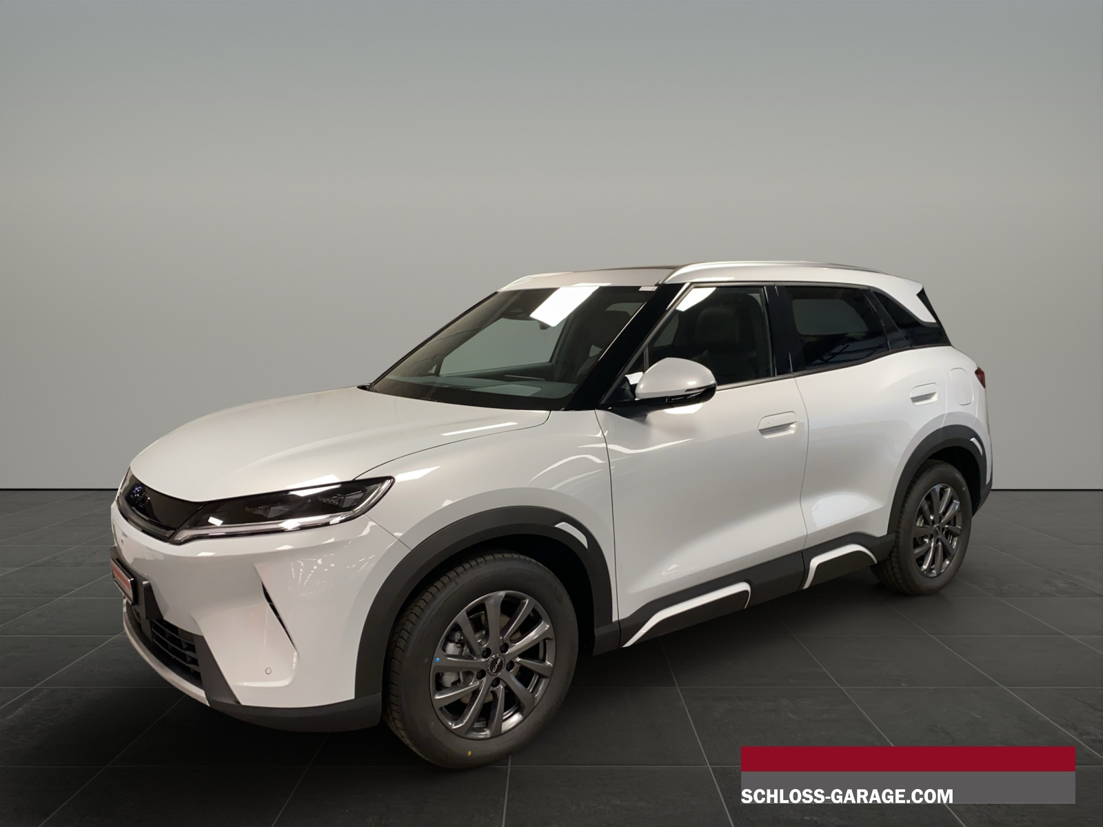 BYD - ATTO 2