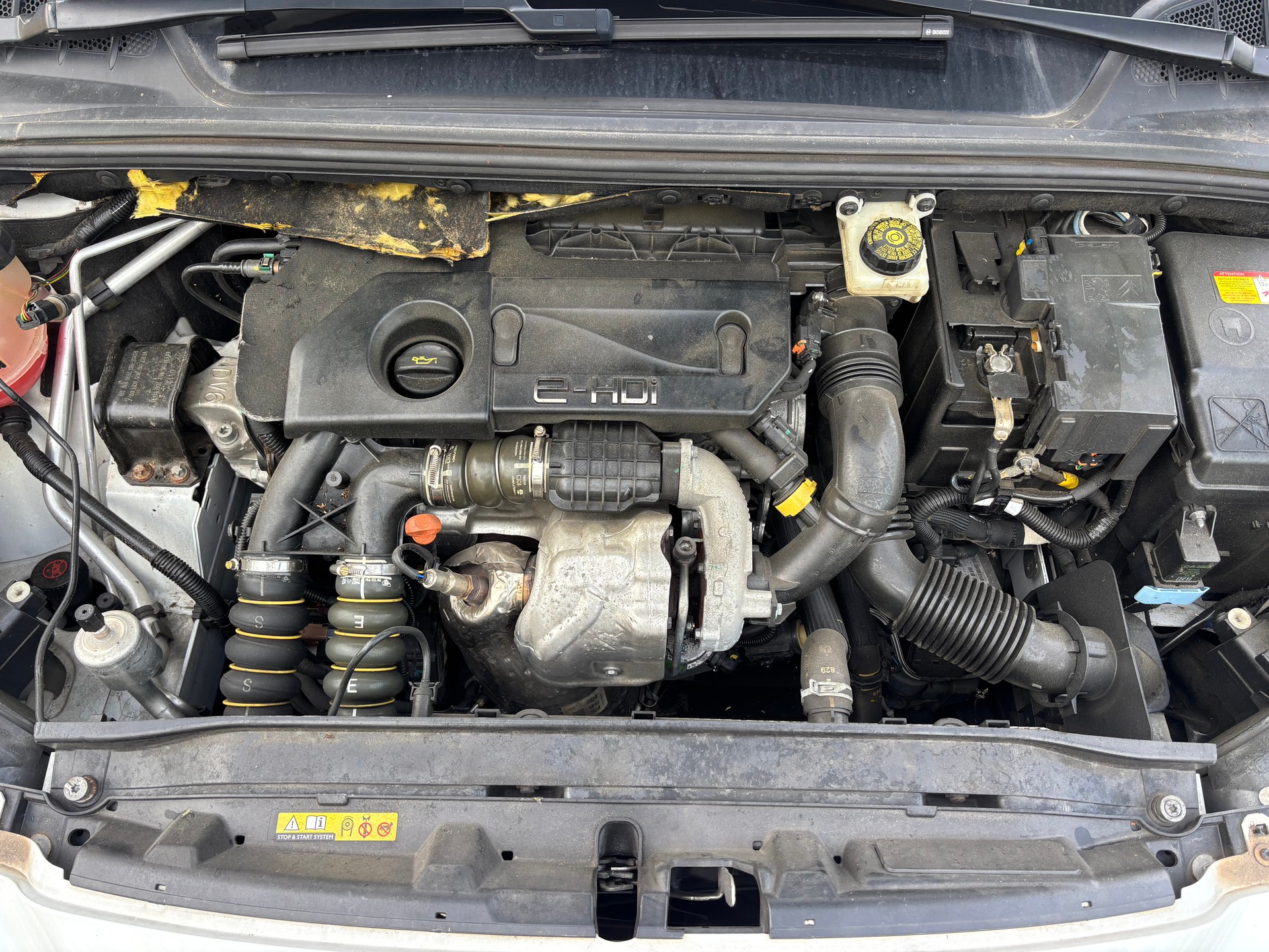PEUGEOT 308 SW 1.6 HDI Active EGS6-image-15