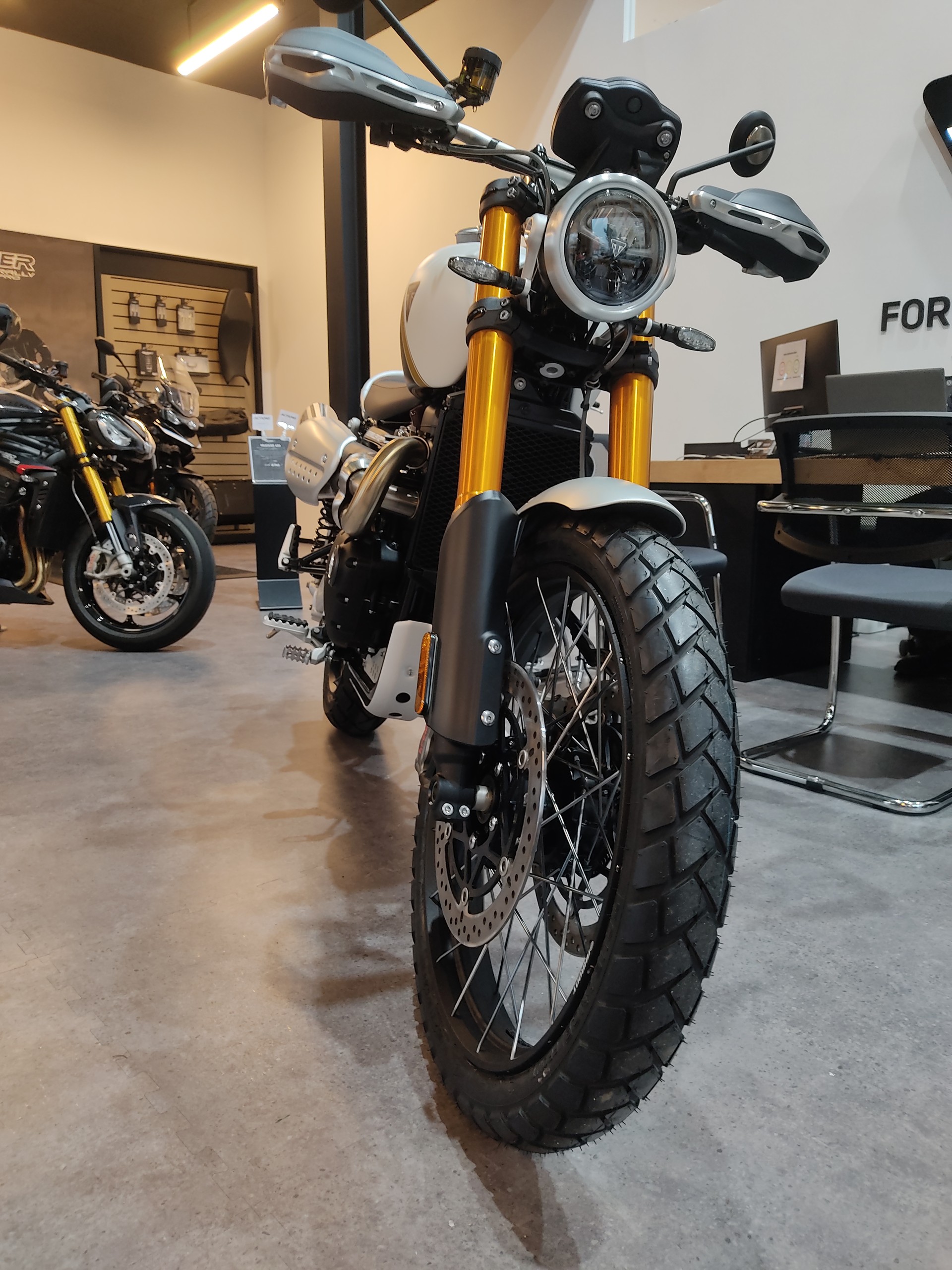 TRIUMPH Scrambler 1200 XE-image-7