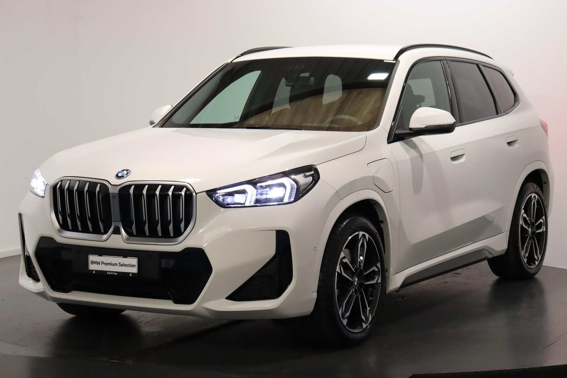 BMW X1 30e xDrive paddles-image-0