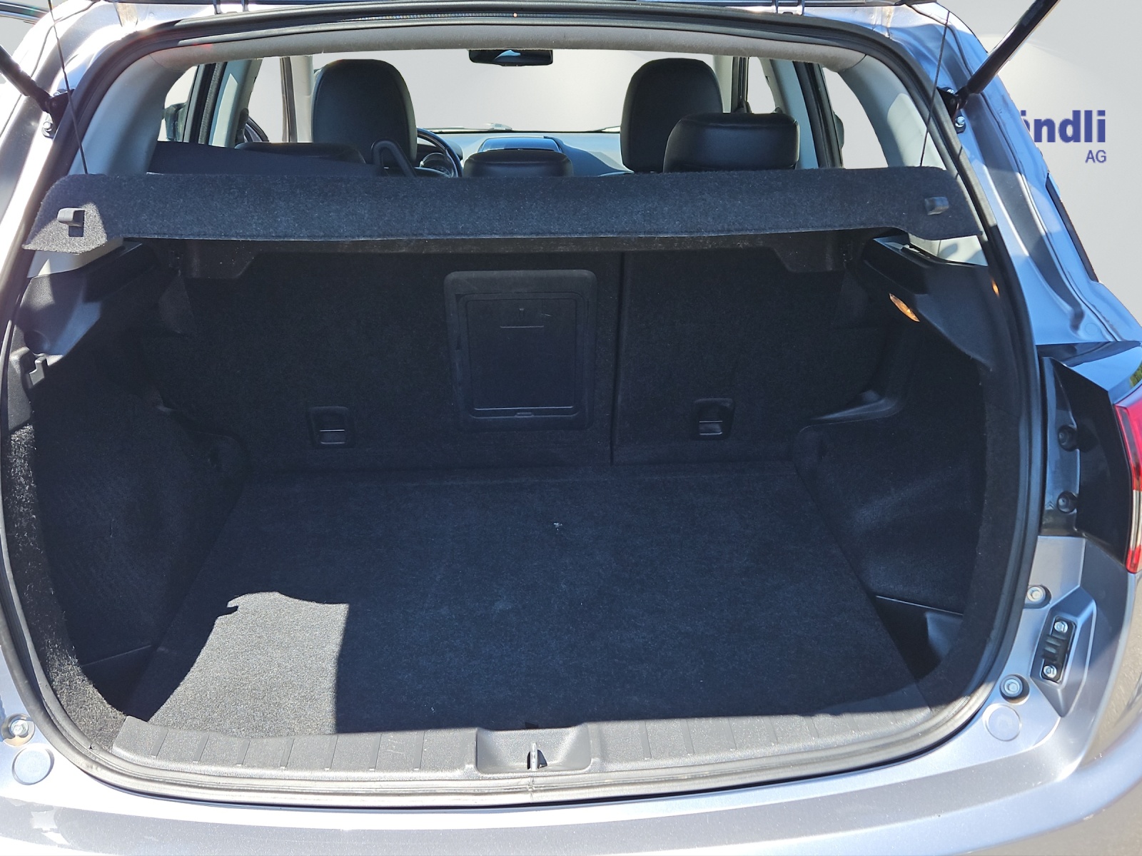 CITROEN C4 Aircross 1.6 HDi 115 Collection 4WD S/S-image-9