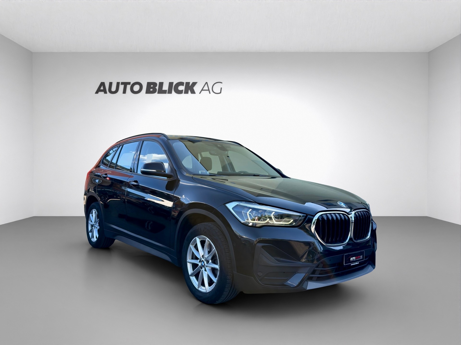BMW X1 xDrive 20d Steptronic-showroom-element-1