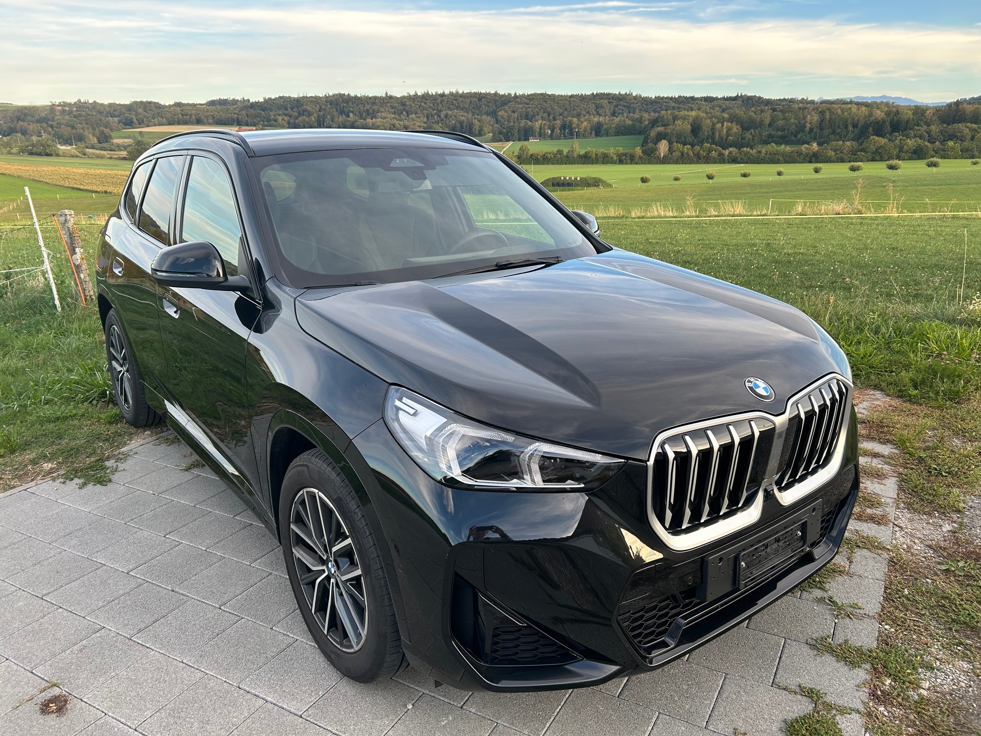 BMW 20d xDrive paddles-image-0