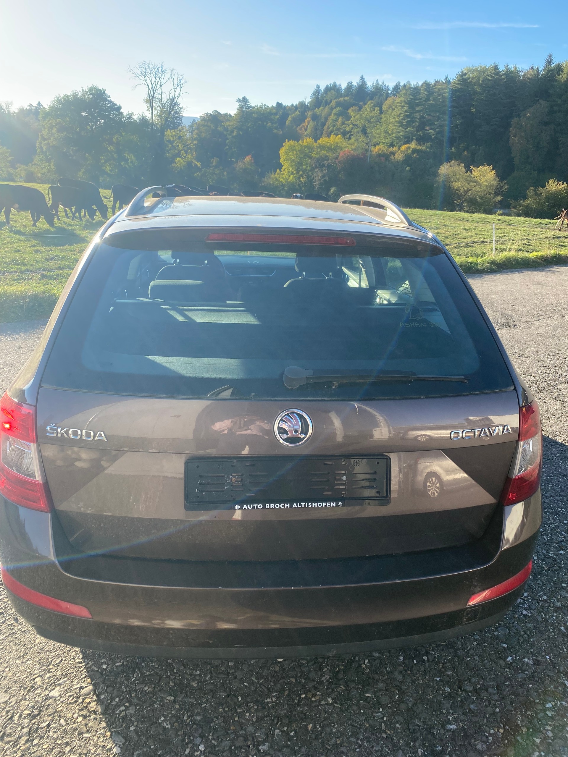 SKODA Octavia Combi 2.0 TDI Ambition-image-3