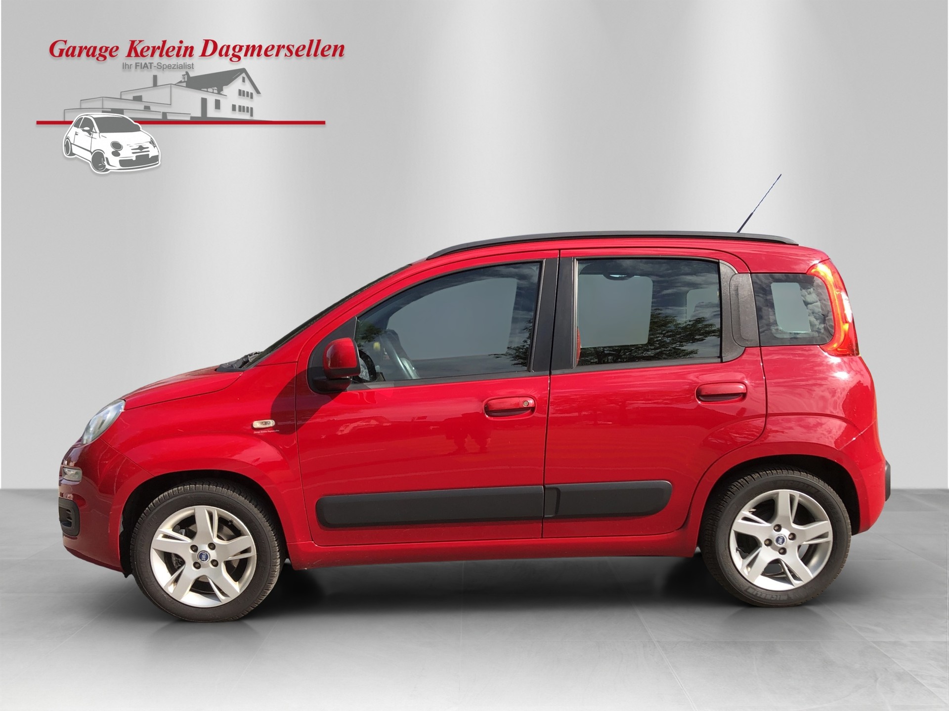 FIAT Panda 1.2 Lounge-image-6