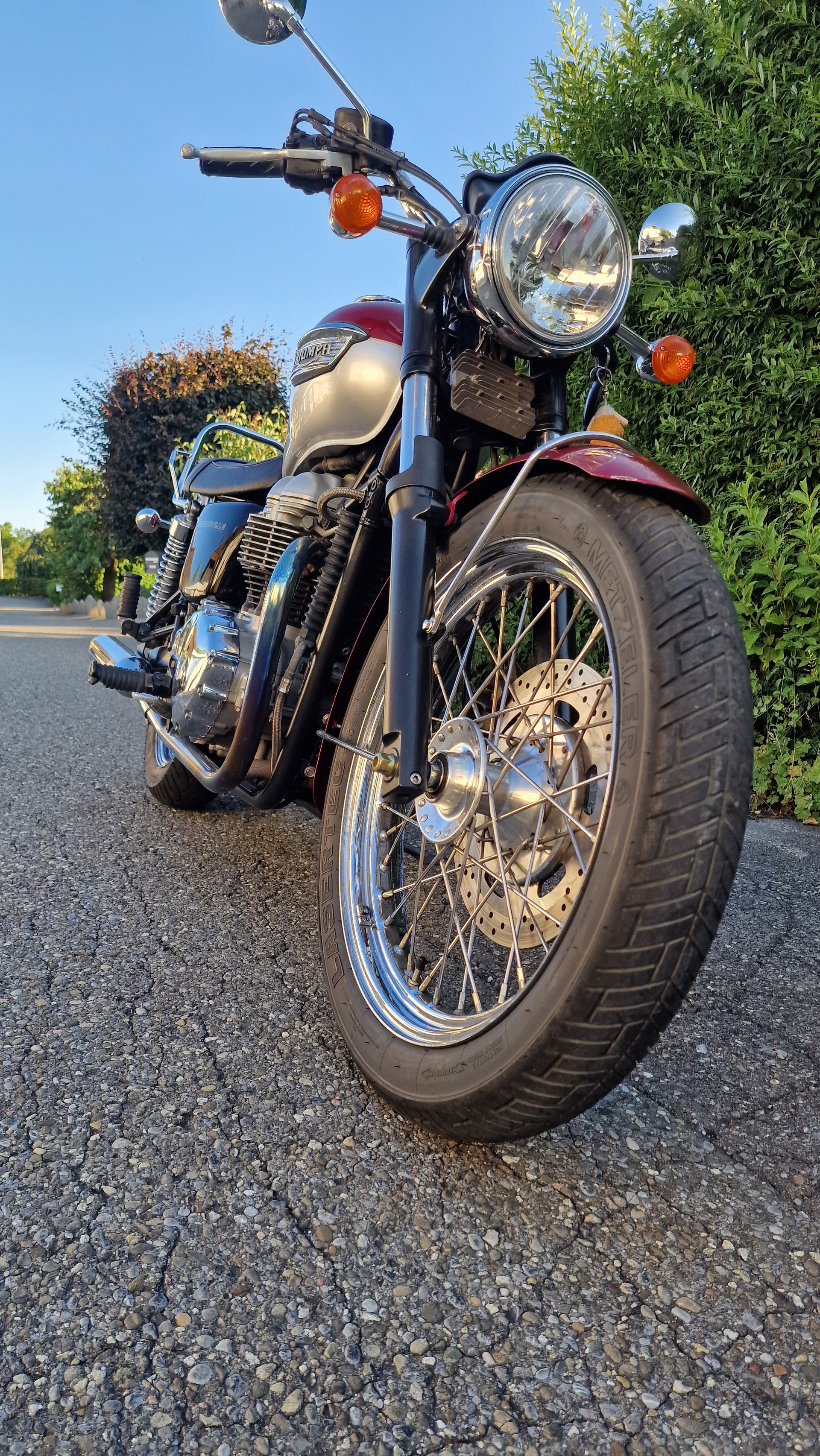 TRIUMPH 790-image-2