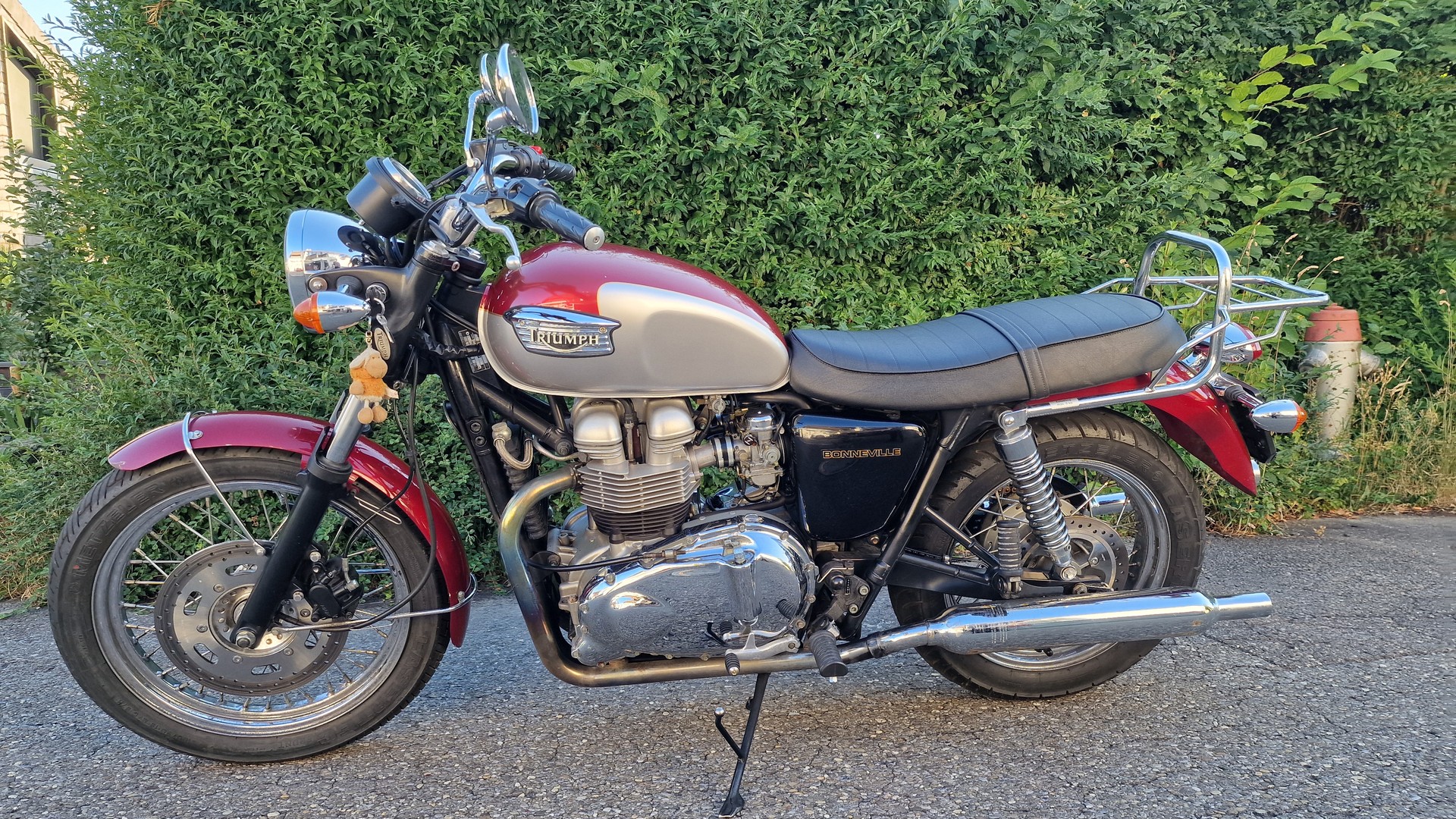 TRIUMPH 790