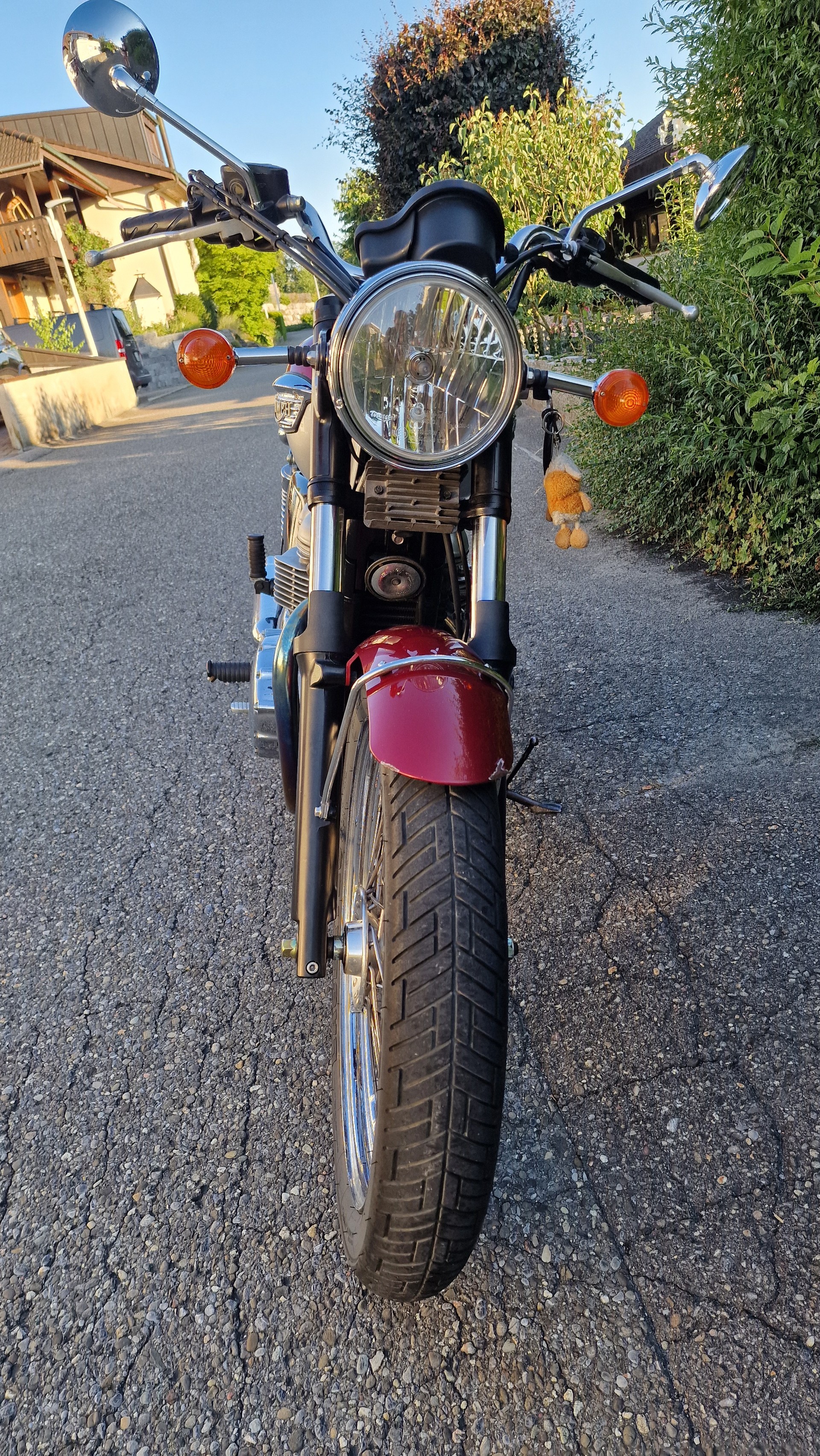 TRIUMPH 790-image-6