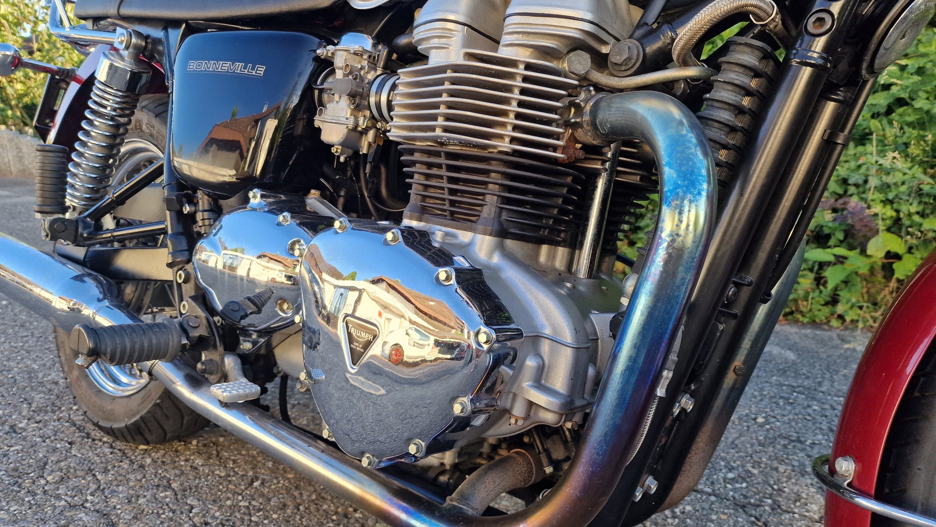 TRIUMPH 790-image-4
