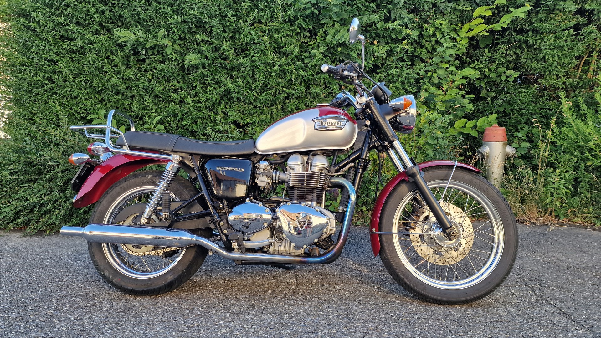 TRIUMPH 790-image-1