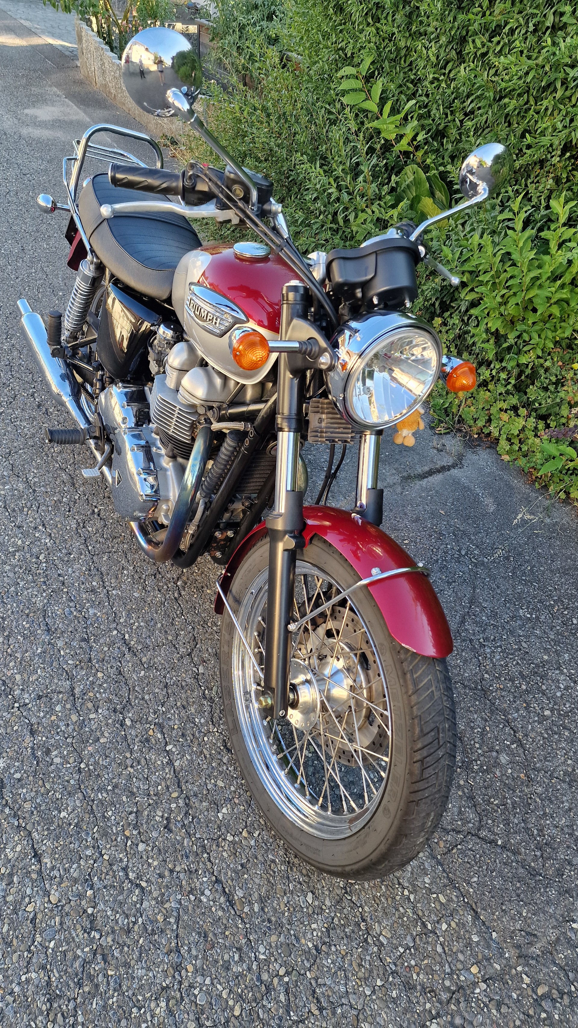 TRIUMPH 790-image-7
