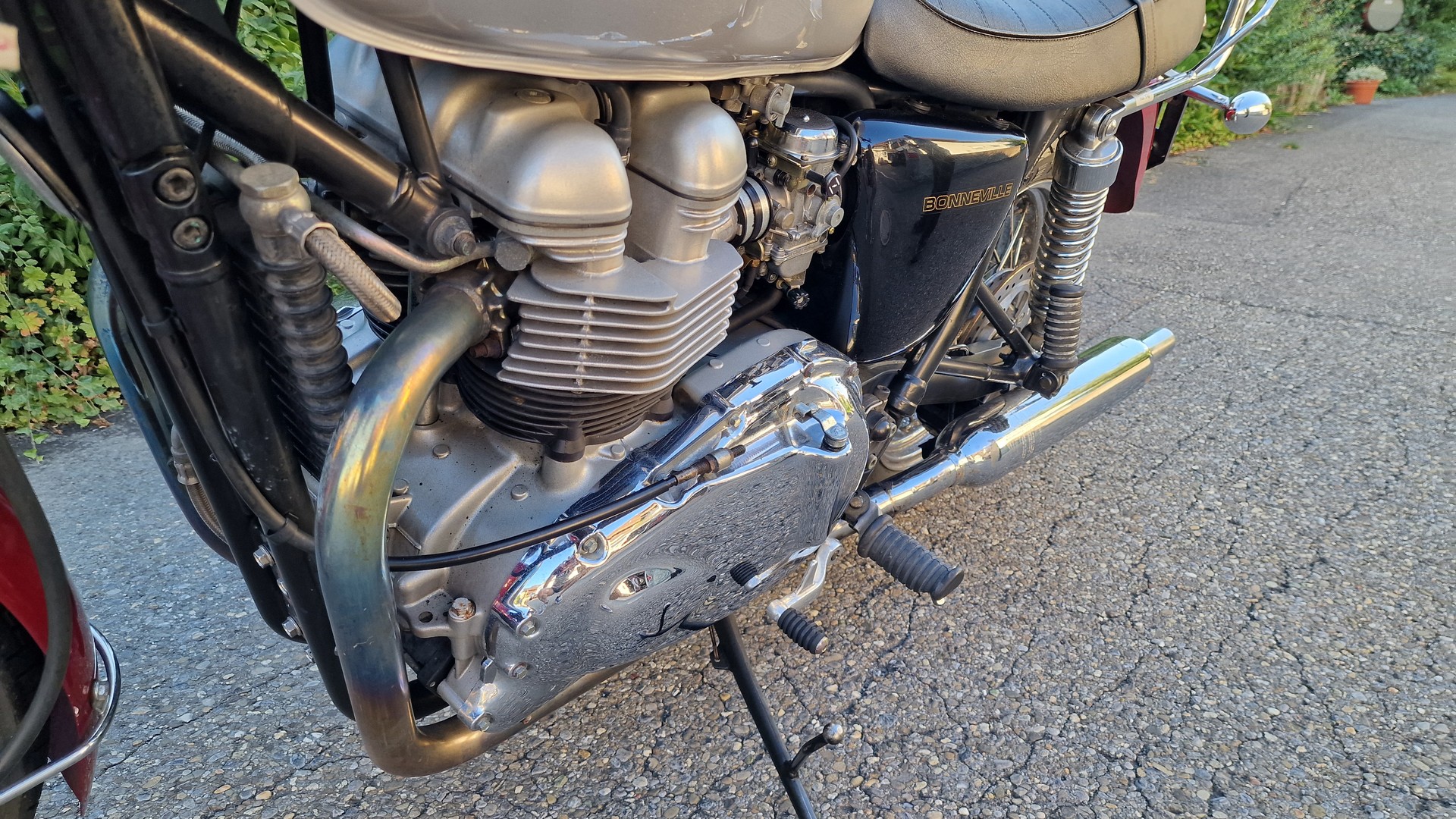 TRIUMPH 790-image-9