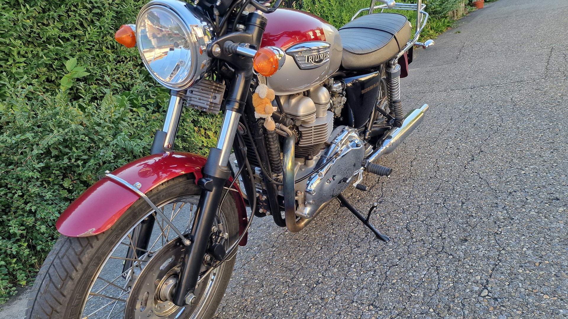 TRIUMPH 790-image-3