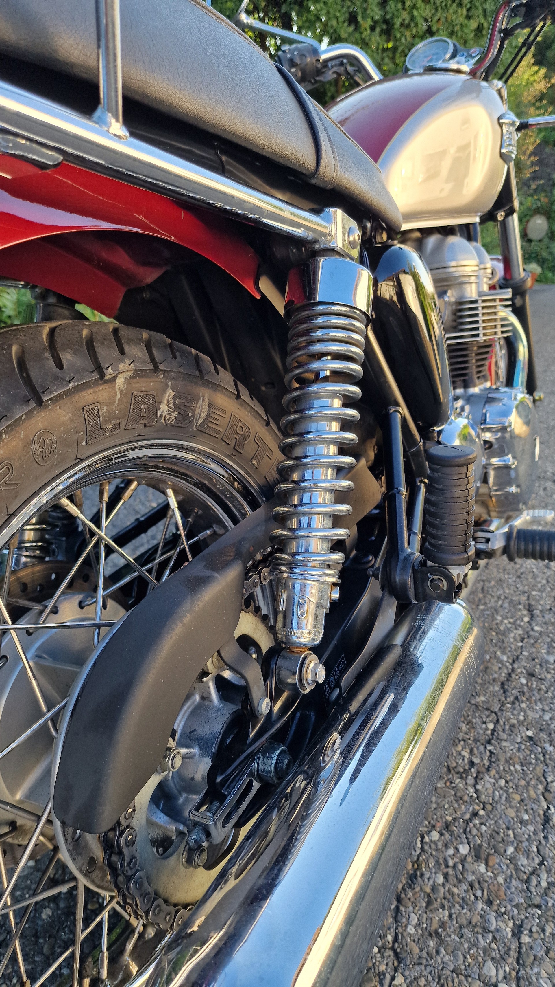 TRIUMPH 790-image-8