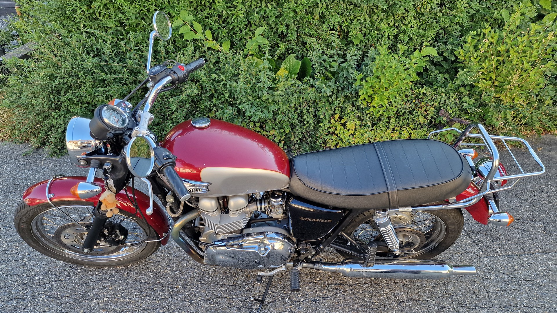 TRIUMPH 790-image-11