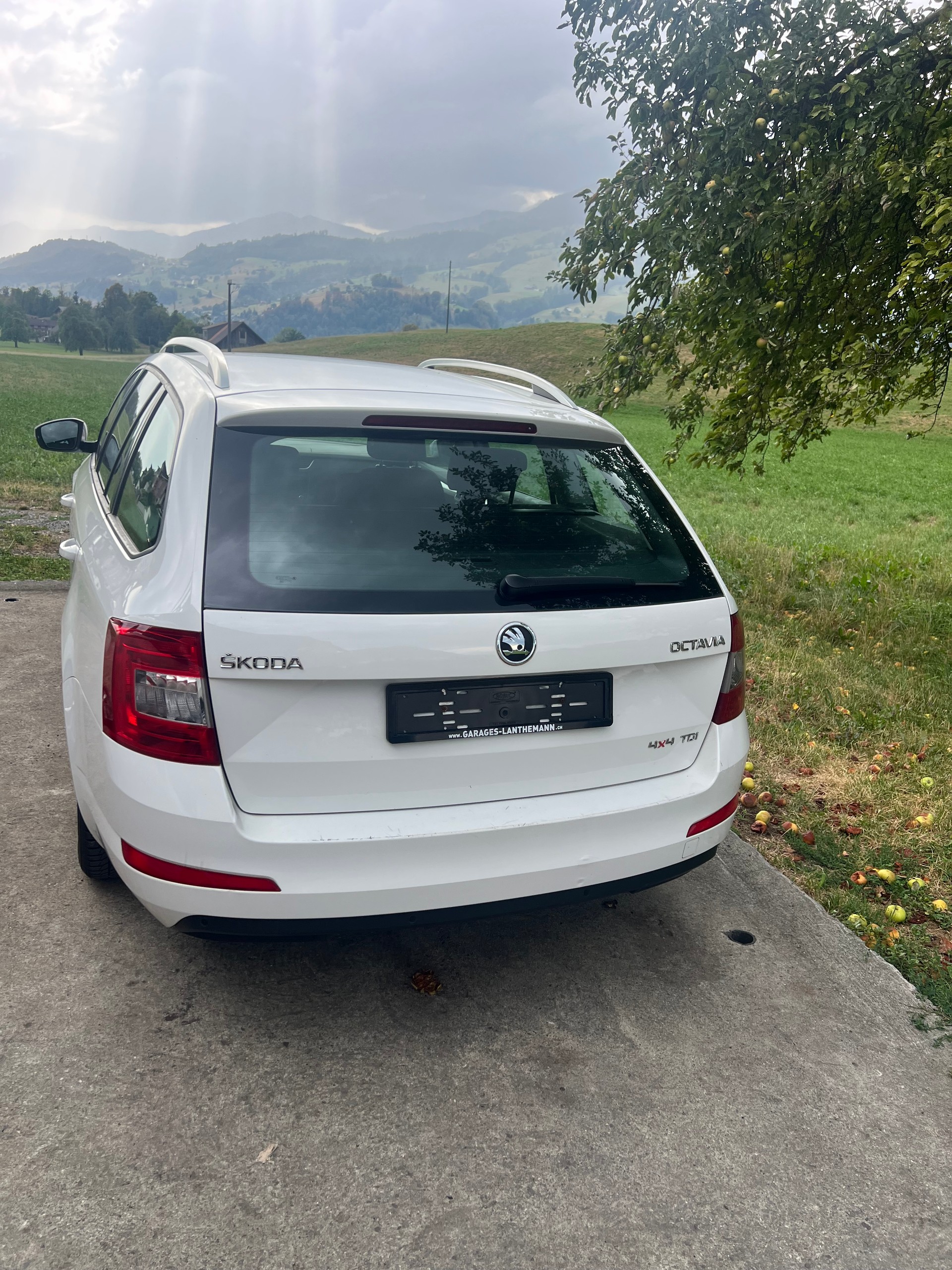 SKODA Octavia Combi 1.6 TDI Elegance 4x4-image-3