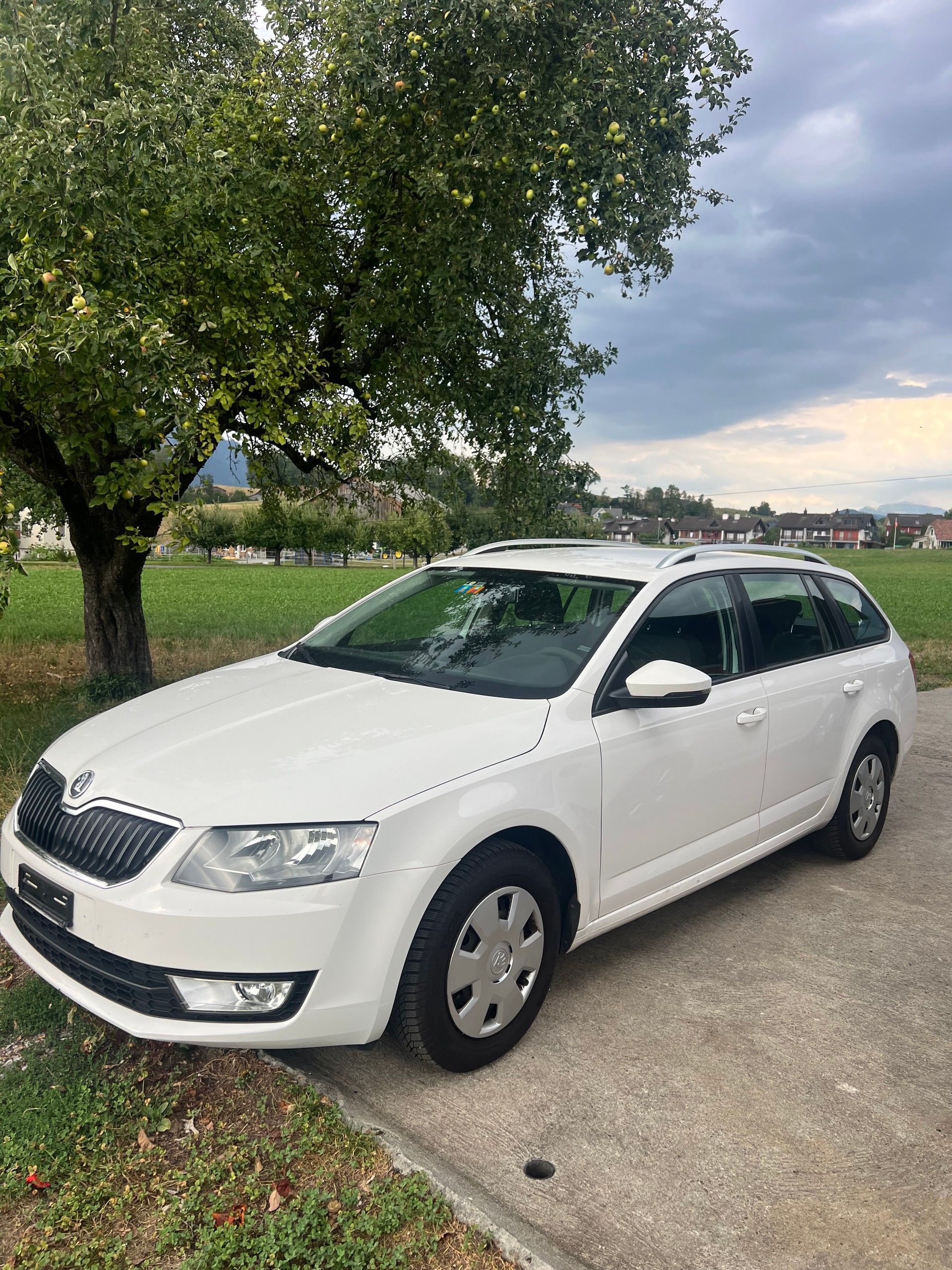 SKODA Octavia Combi 1.6 TDI Elegance 4x4-image-0