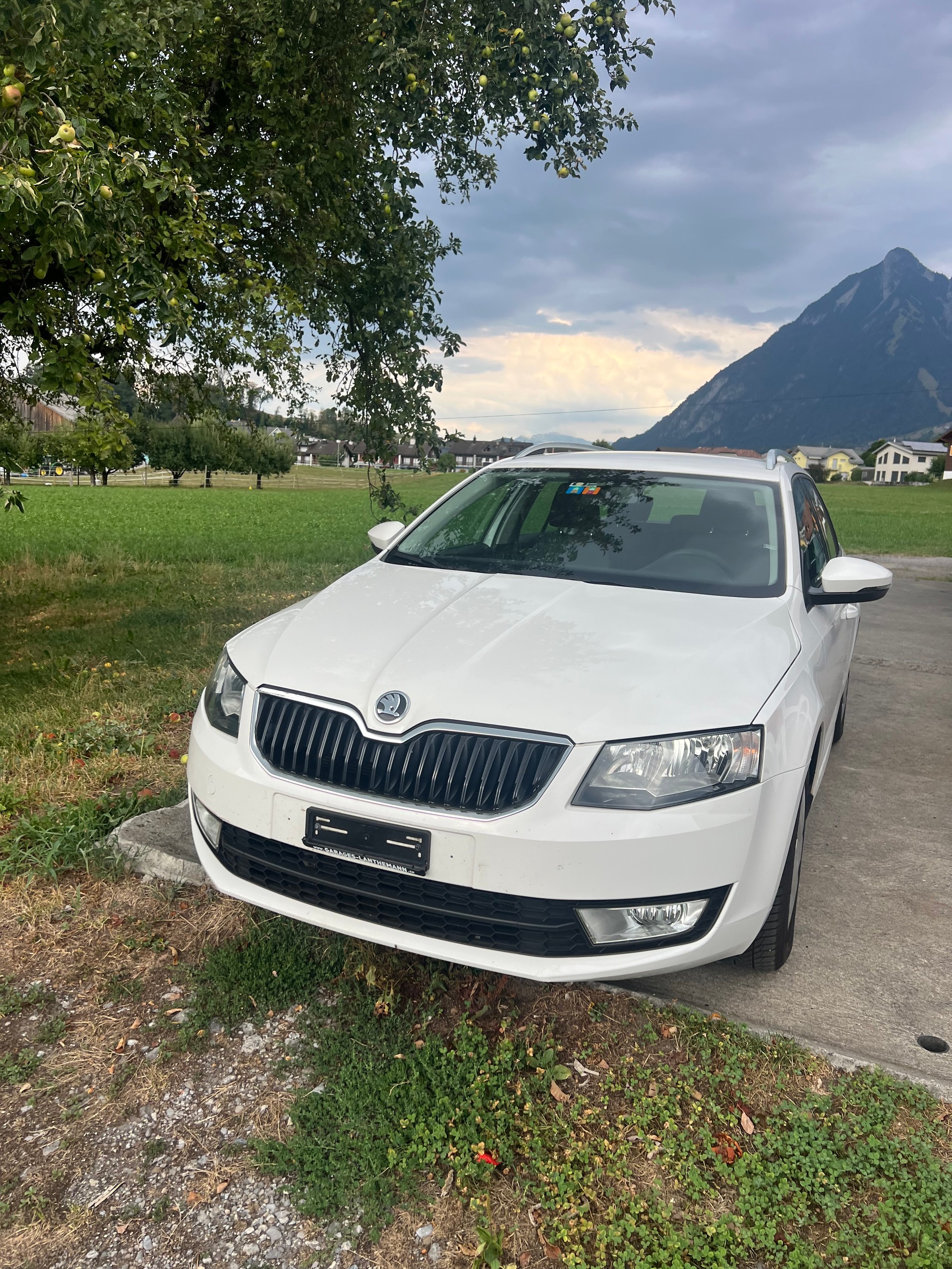 SKODA Octavia Combi 1.6 TDI Elegance 4x4-image-5