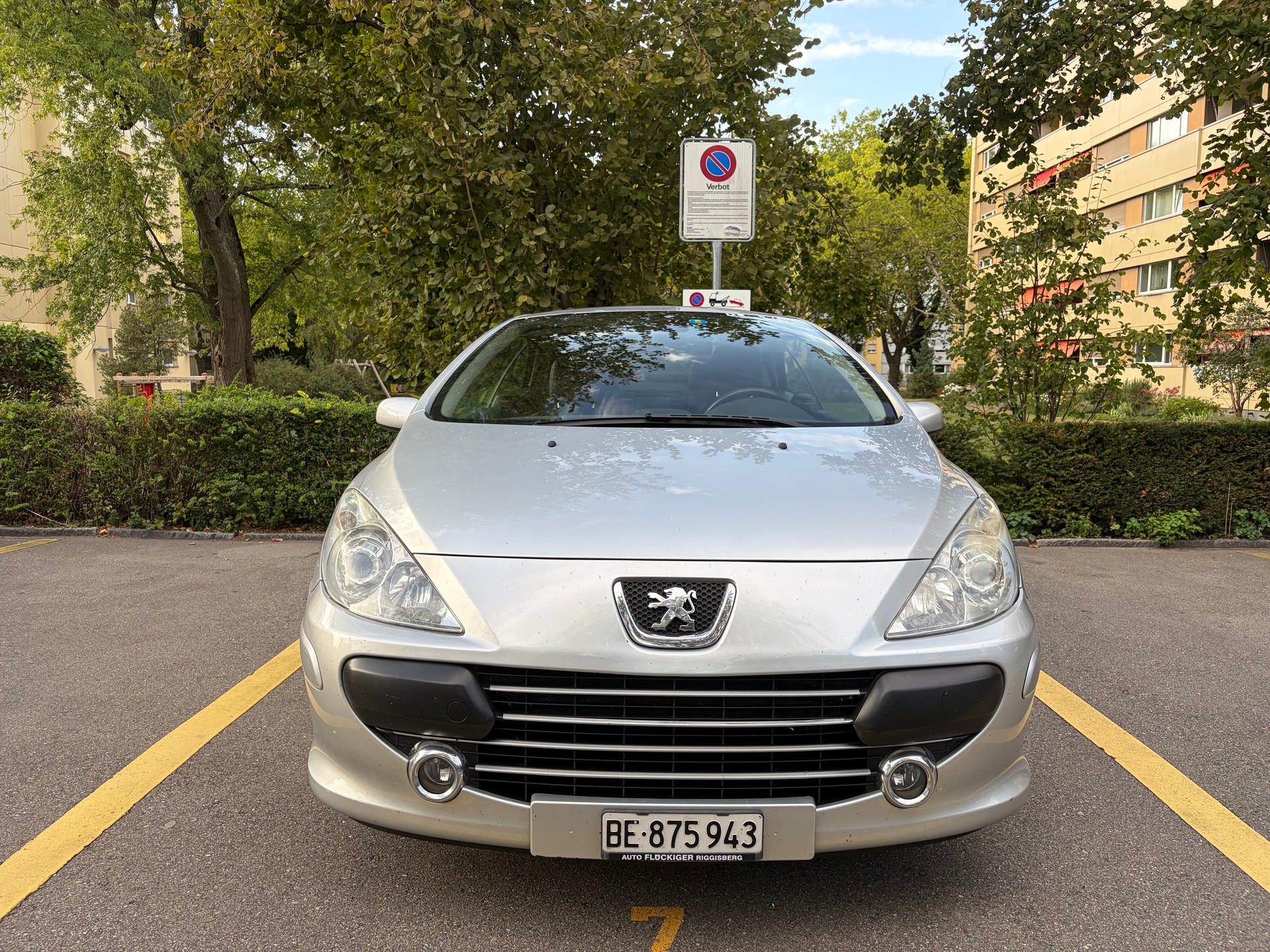 PEUGEOT 2.0 HDI Dynamic-image-0