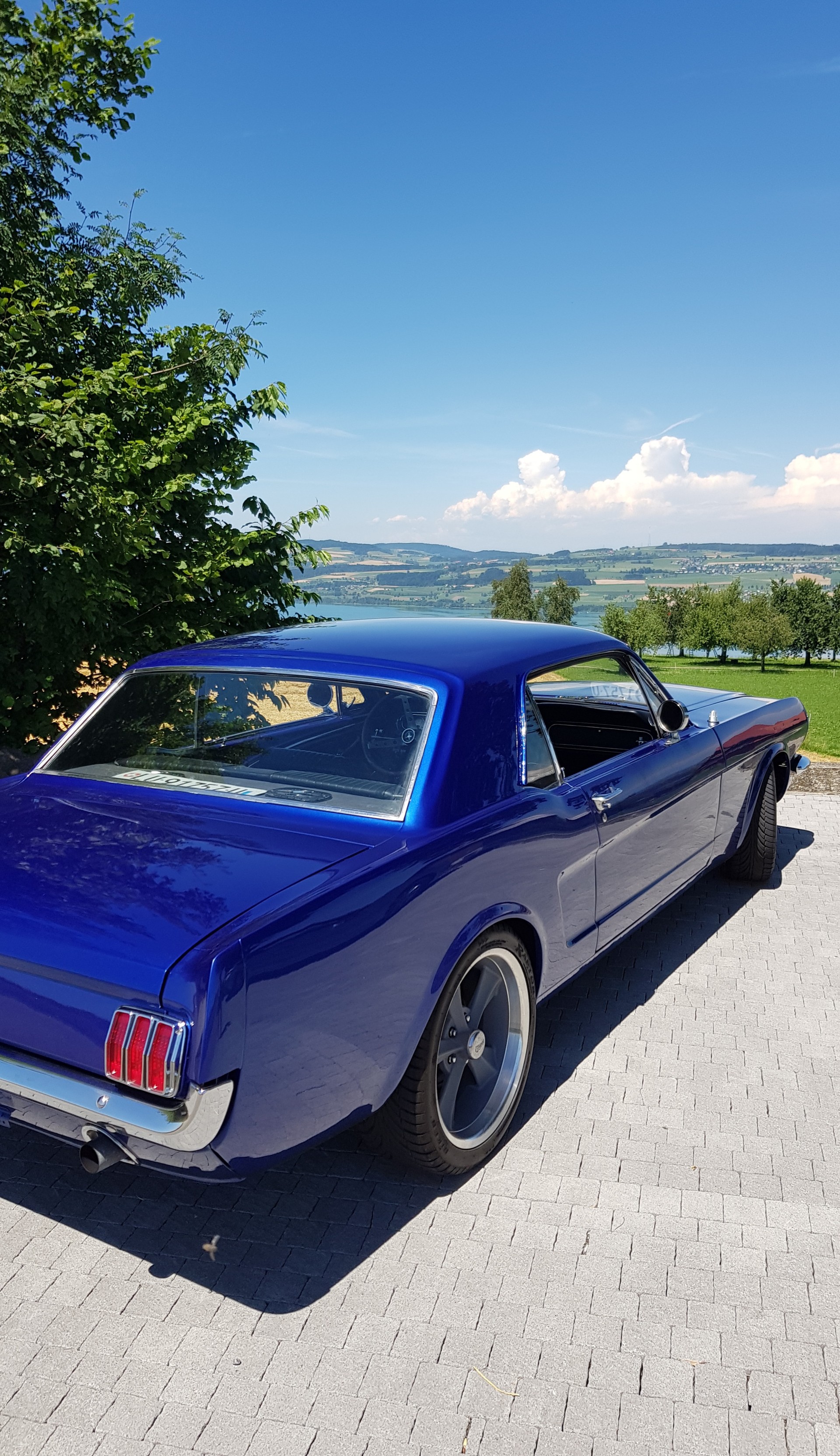 FORD Spezialumbau frisch ab MFK-image-4