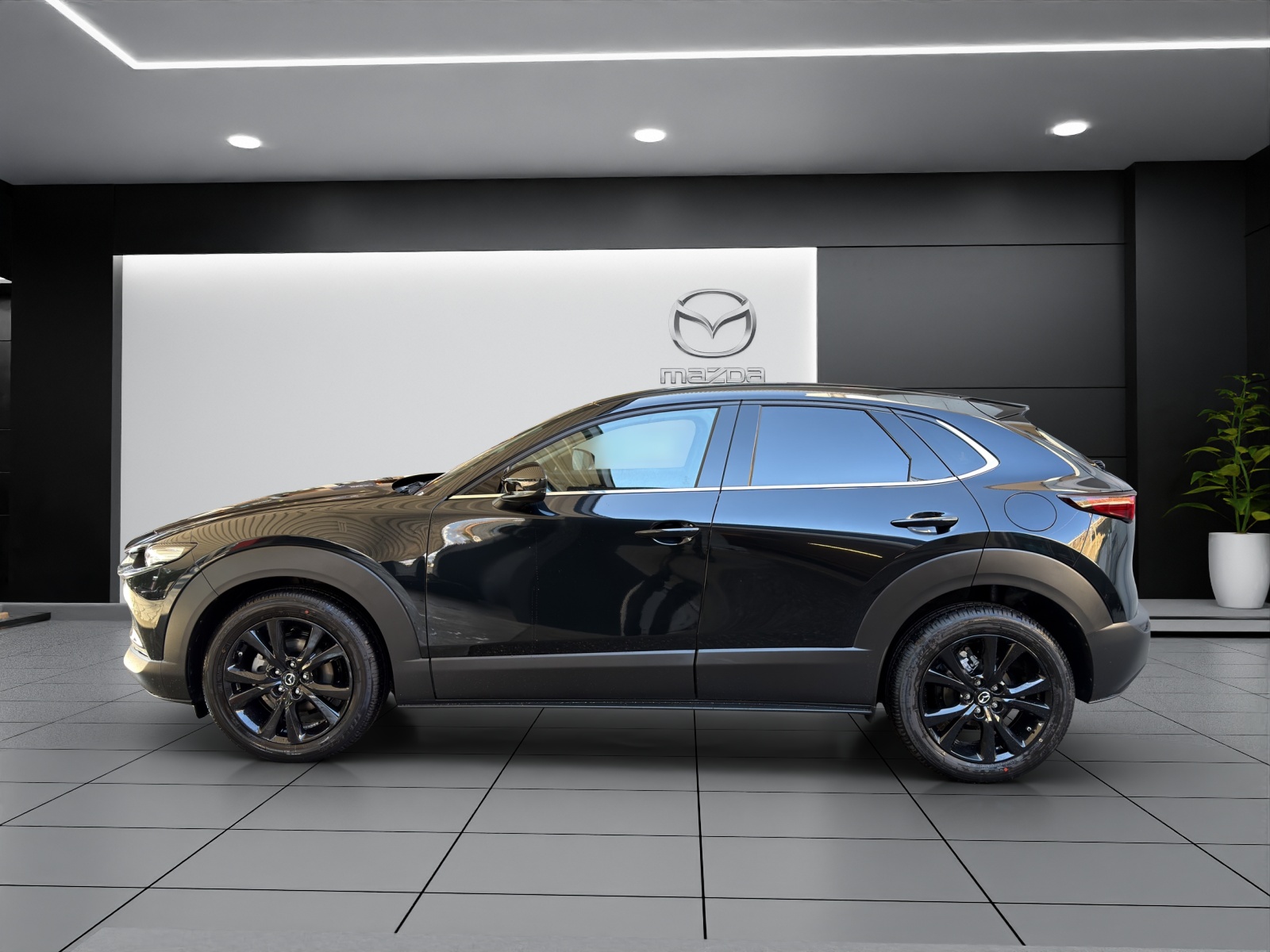 MAZDA CX-30 SKYACTIV-X 186 M Hybrid Homura FWD AT-showroom-element-2