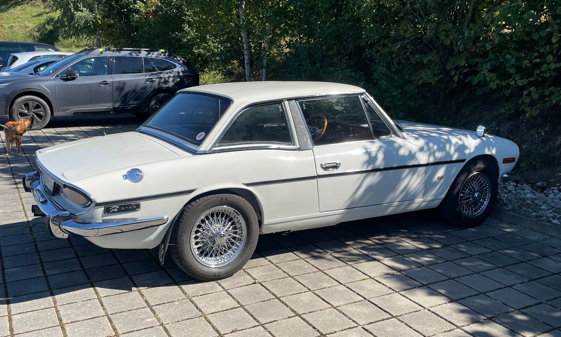 TRIUMPH Stag-image-2