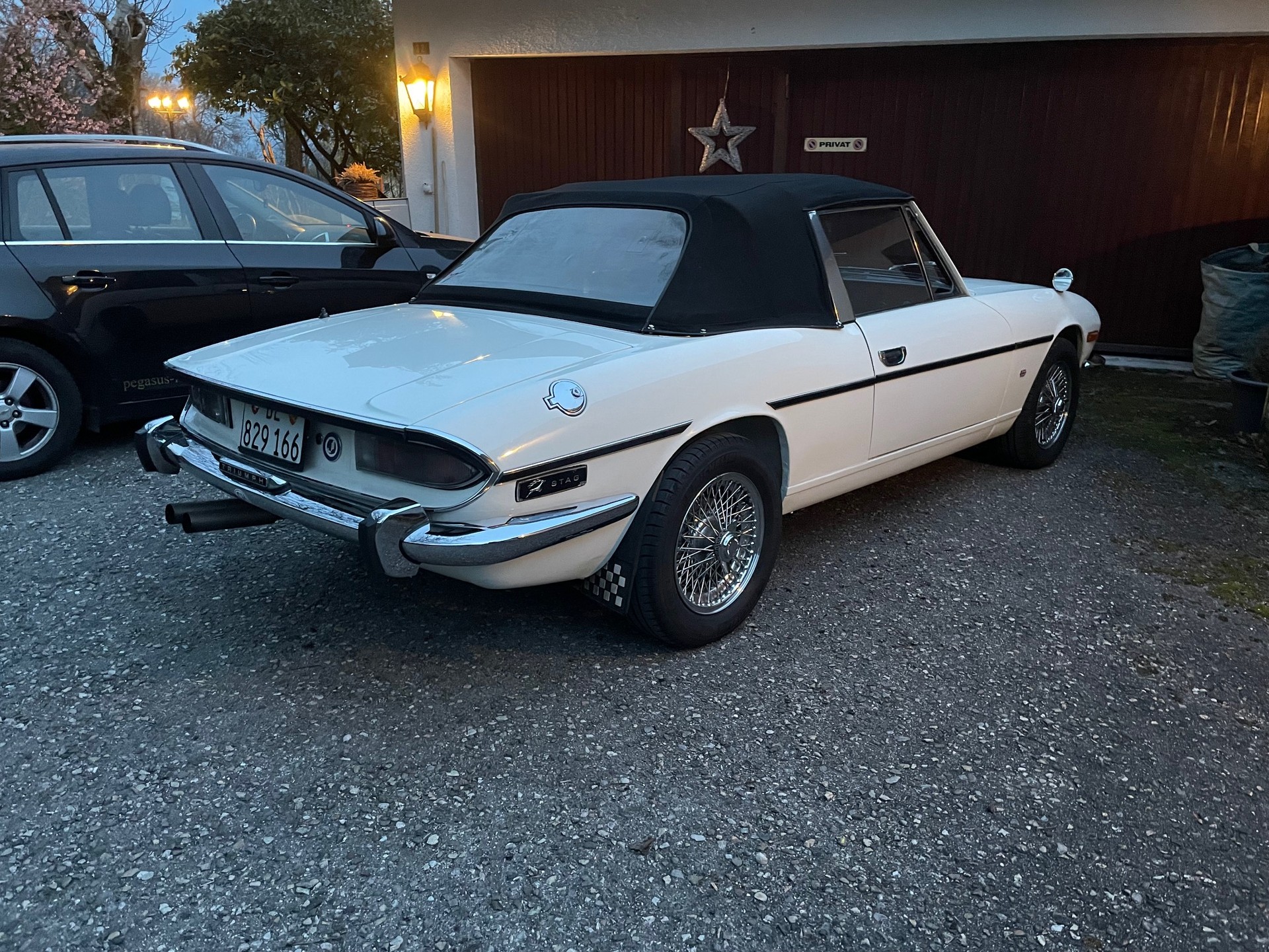 TRIUMPH Stag-image-1