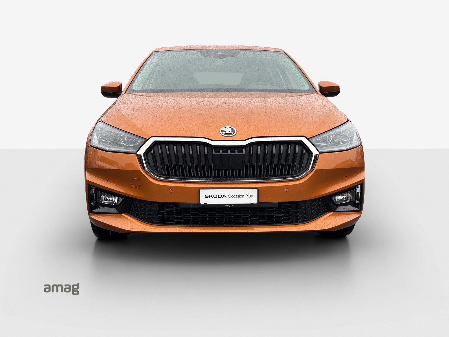 SKODA Fabia 1.0 TSI First Edition DSG-image-6