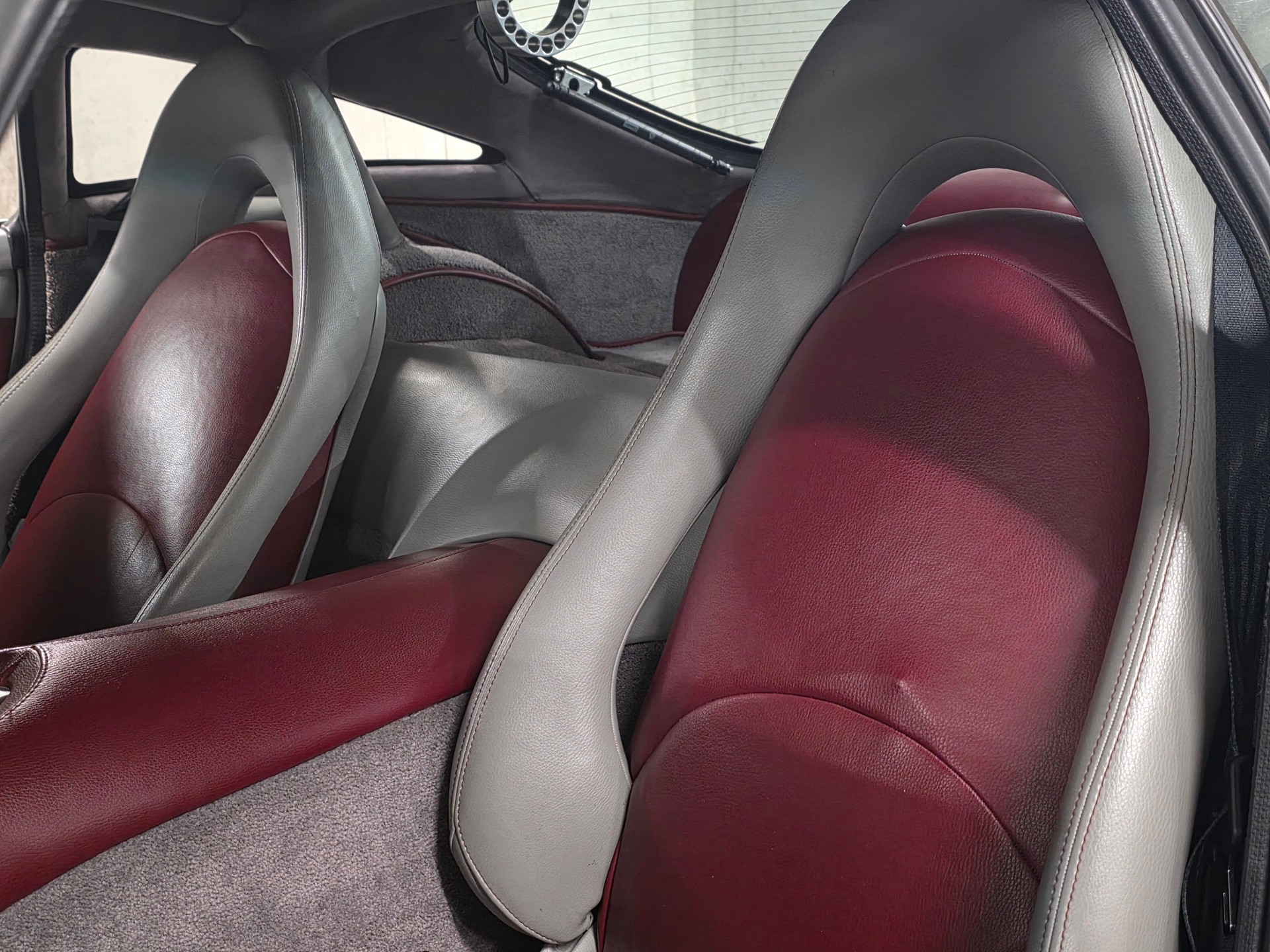 TVR SAGARIS-image-16