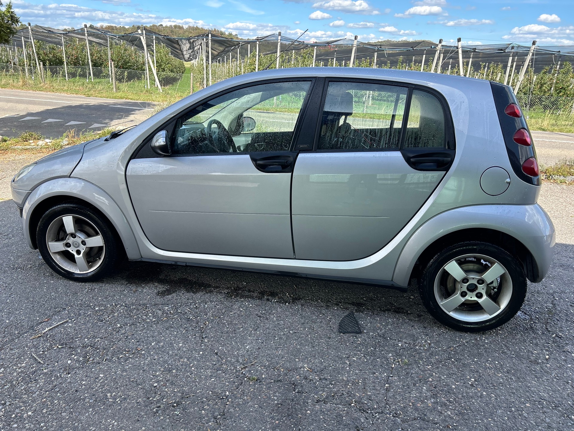 SMART 1.3 Passion-image-0