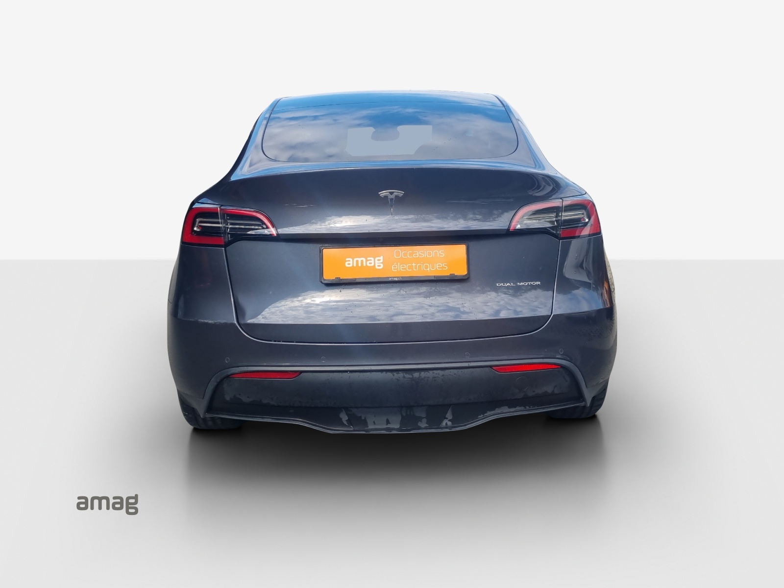TESLA Model Y Long Range-image-3