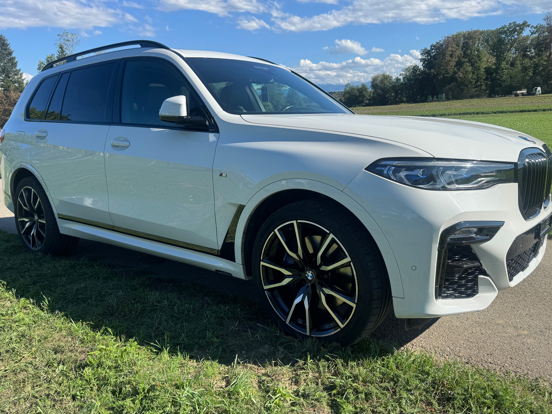 BMW X7 xDrive 30d Steptronic-image-7