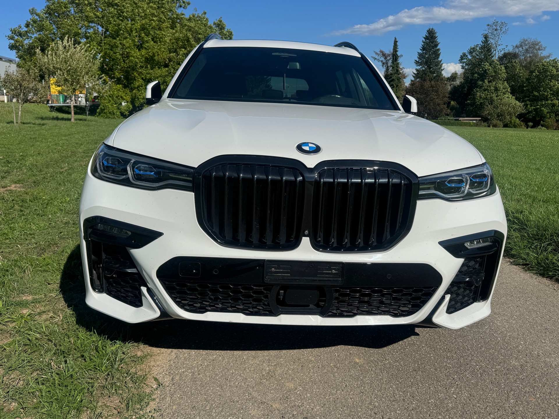 BMW X7 xDrive 30d Steptronic-image-0