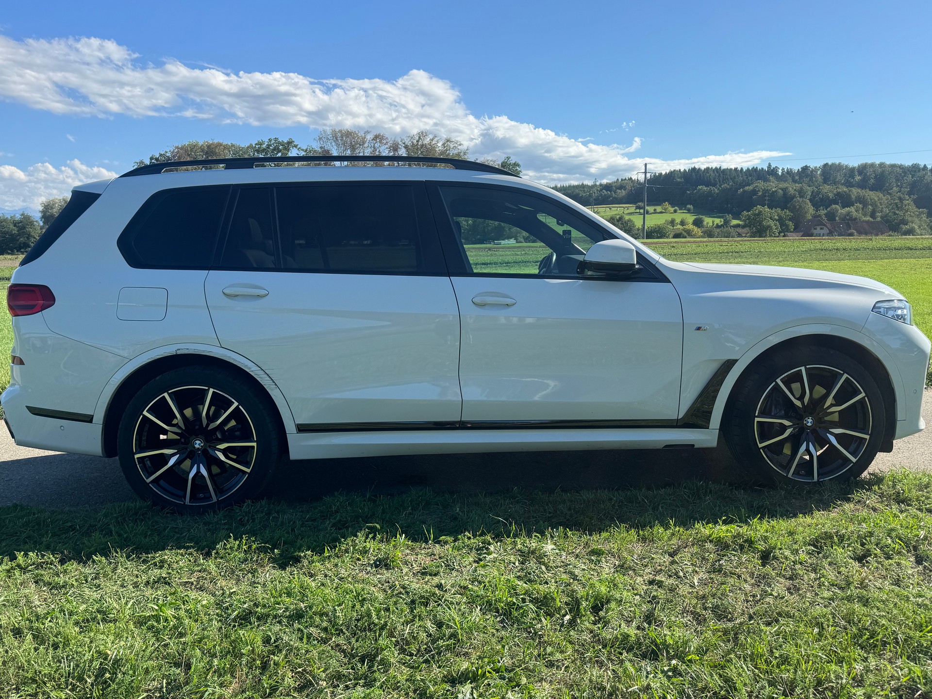 BMW X7 xDrive 30d Steptronic-image-2