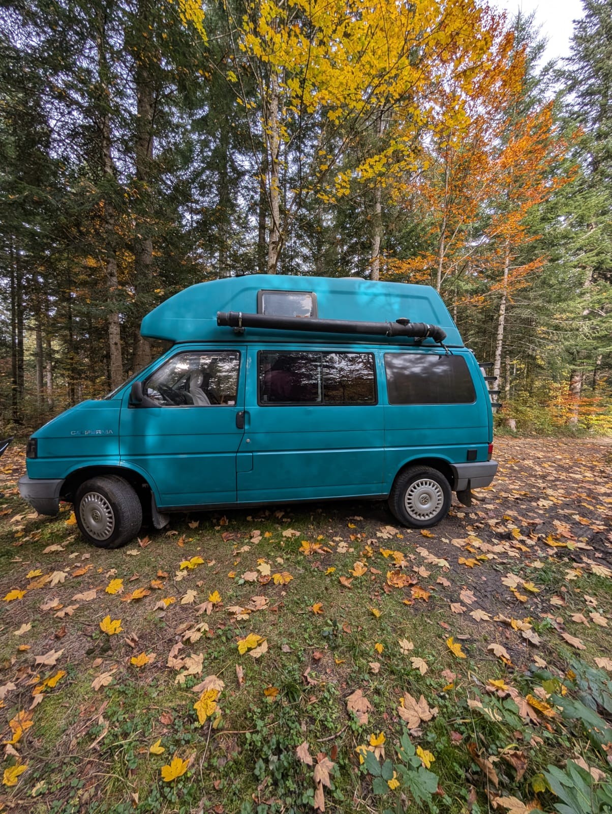 VW California-image-0