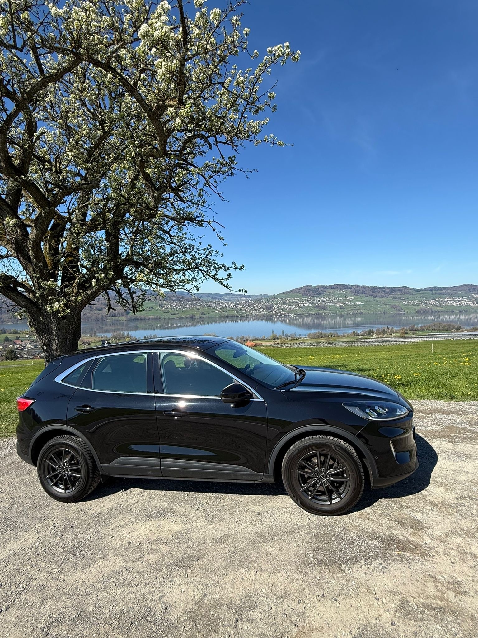 FORD KUGA TDCi 4x4-image-0