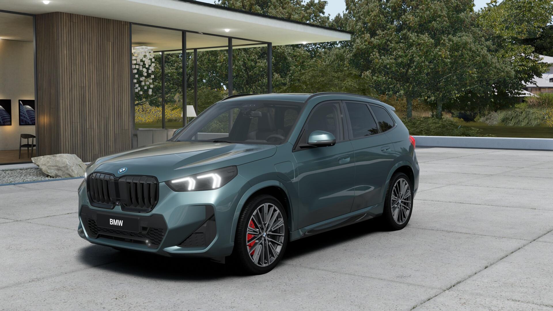 BMW X1 30e xDrive paddles-image-0