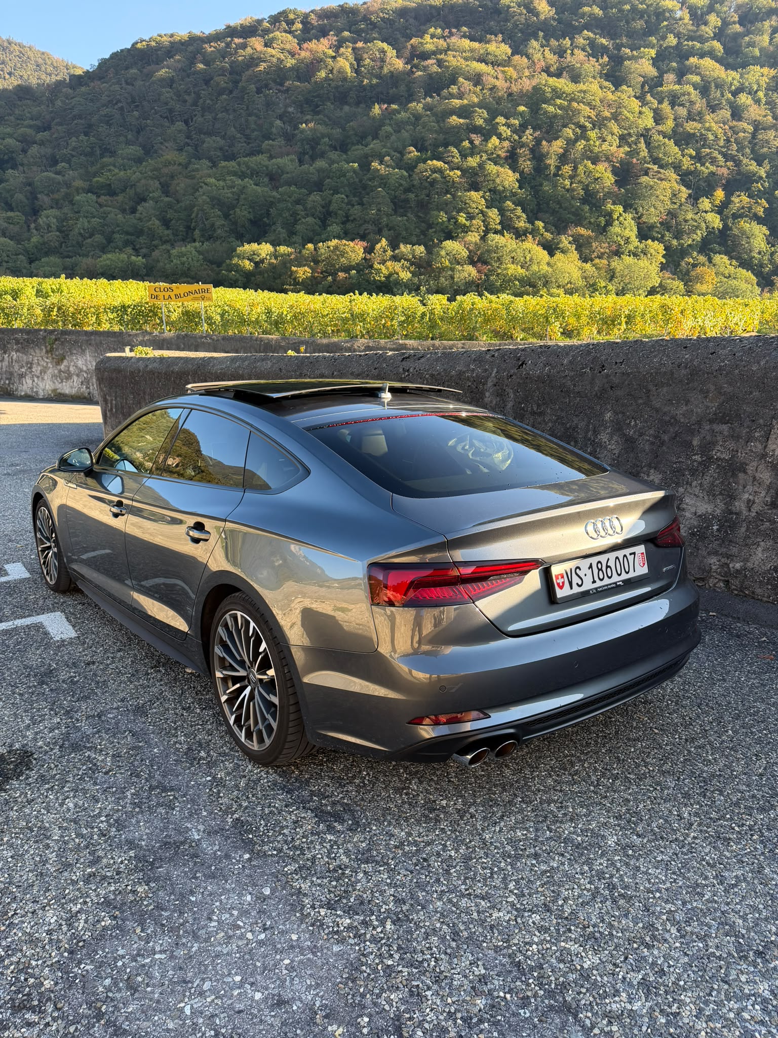 AUDI A5 Sportback 3.0 TDI S line quattro tiptronic-image-2