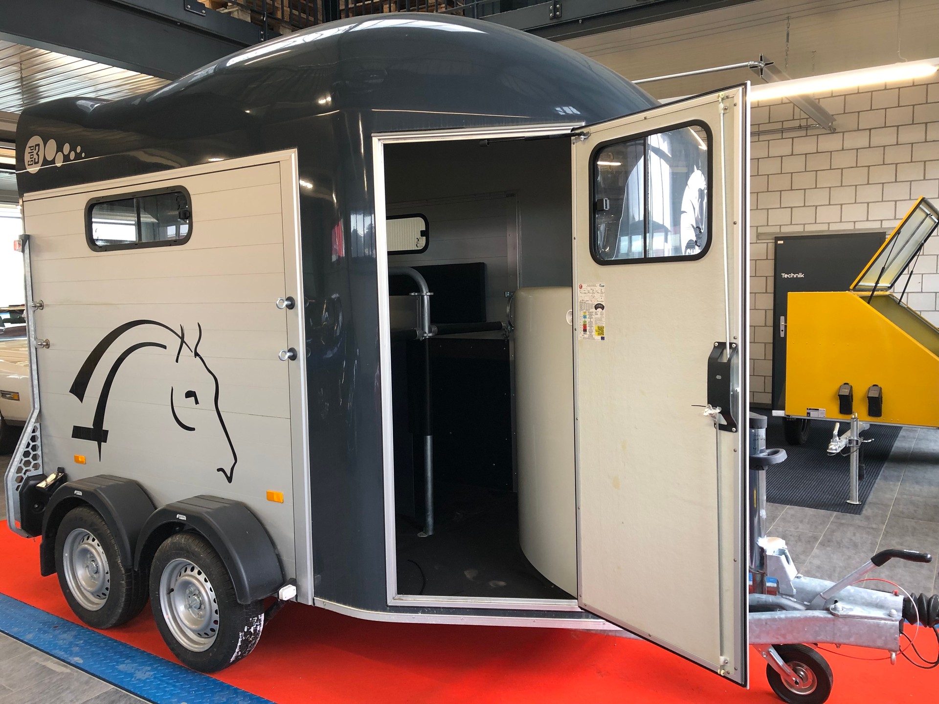 DALTEC CHEVAL LIBERTE GOLD 3-image-6