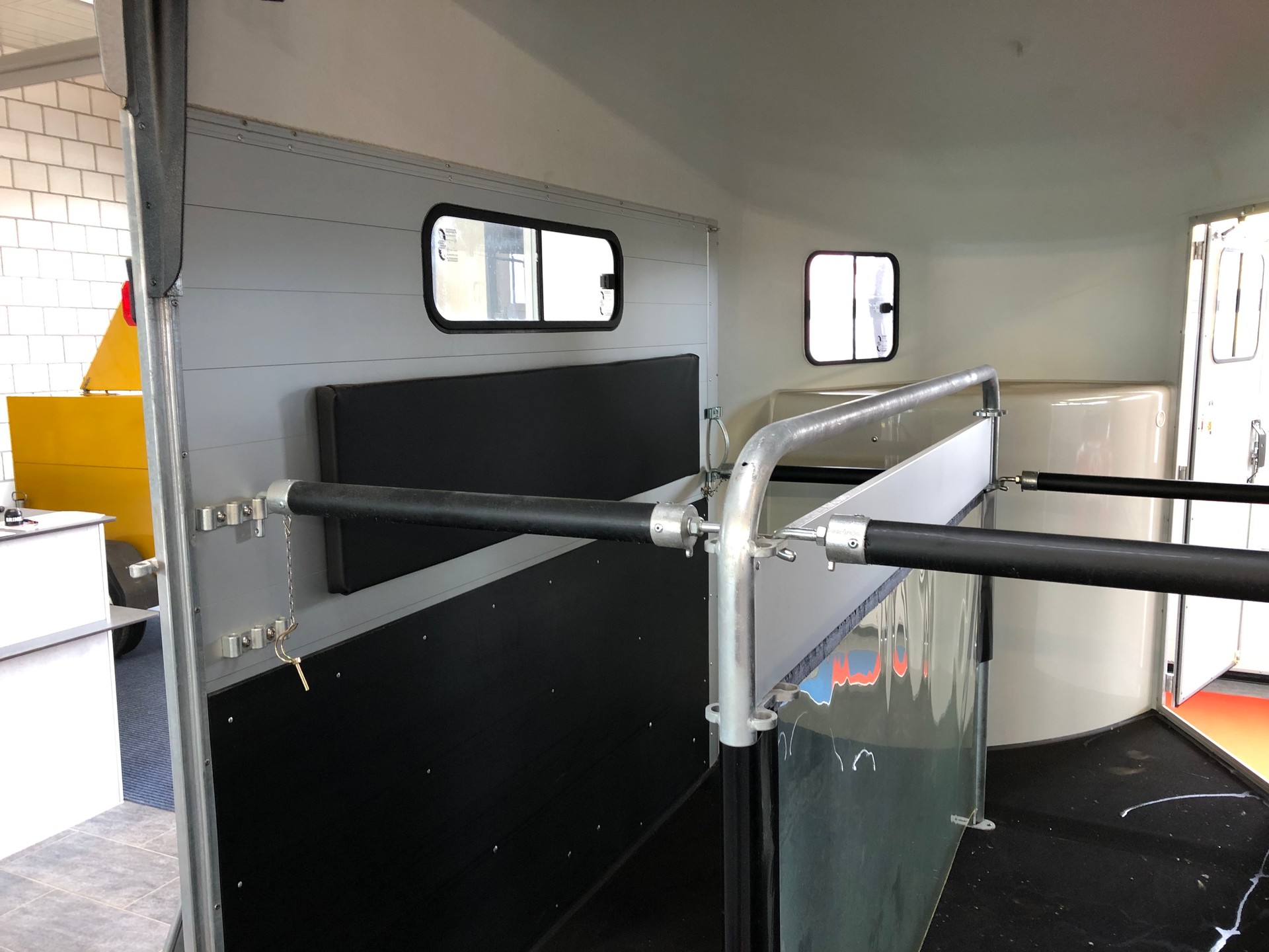 DALTEC CHEVAL LIBERTE GOLD 3-image-10