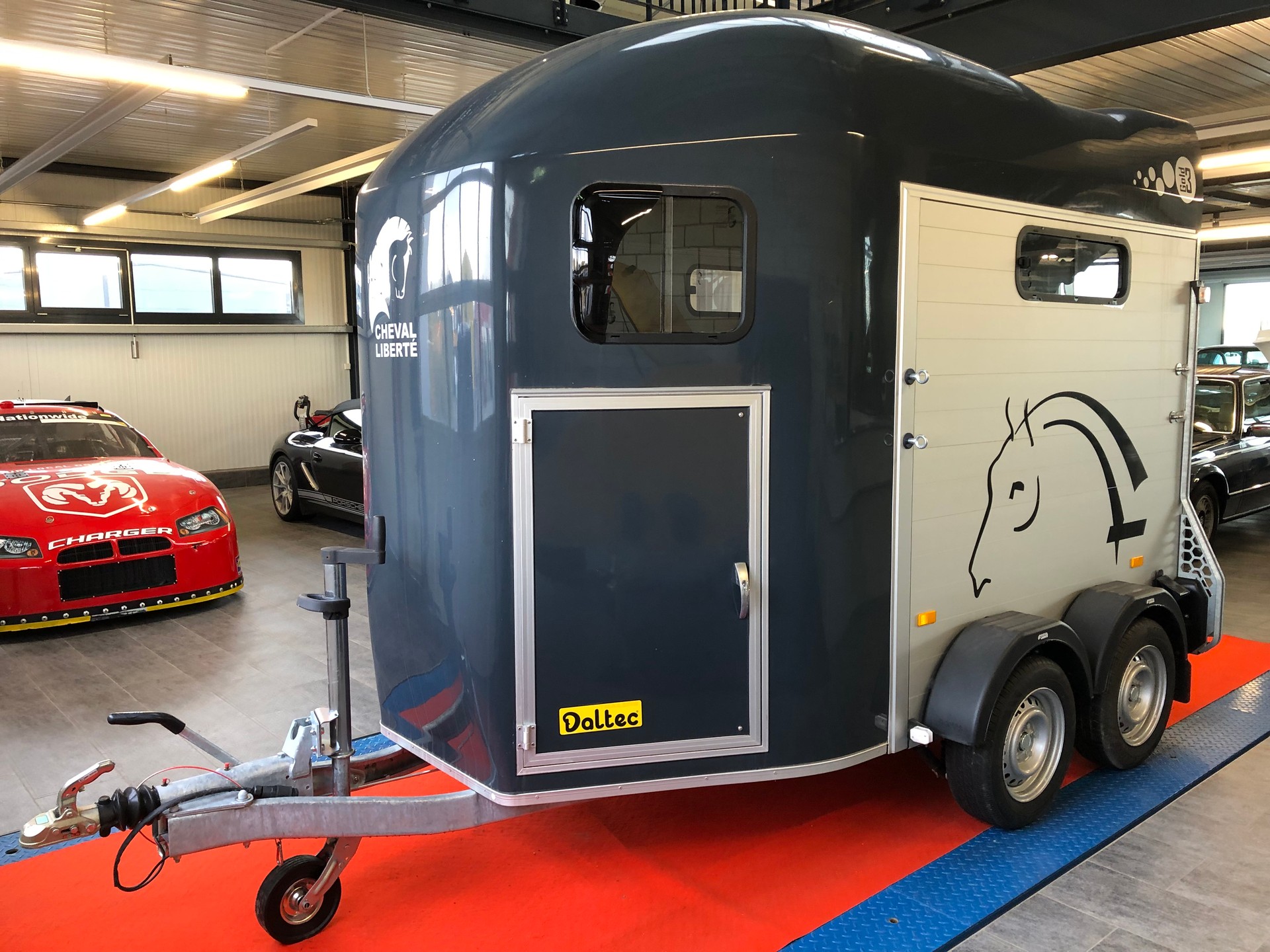 DALTEC CHEVAL LIBERTE GOLD 3