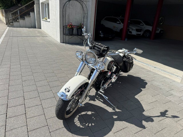 HARLEY-DAVIDSON FLSTN Heritage Special-image-1