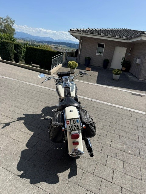 HARLEY-DAVIDSON FLSTN Heritage Special-image-3