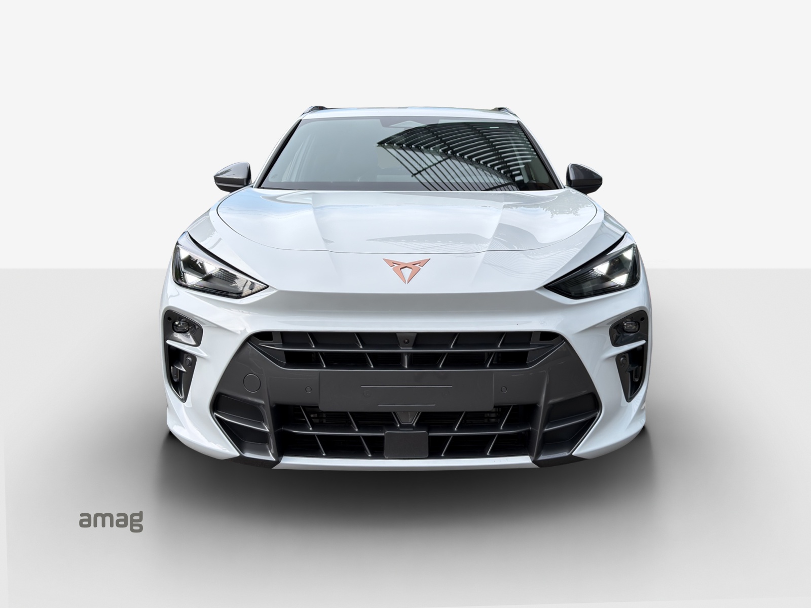 CUPRA Terramar 1.5 eTSI Prime Edition DSG-image-6